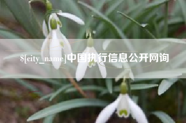 万宁中国执行信息公开网询