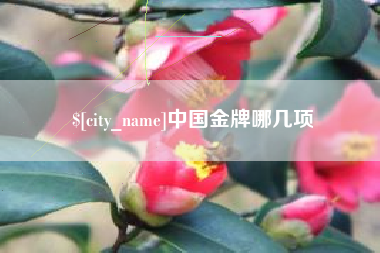 万宁中国金牌哪几项