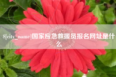万宁国家应急救援员报名网址是什么