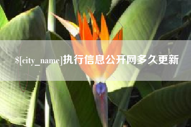 万宁执行信息公开网多久更新
