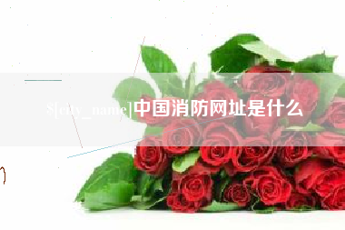 万宁中国消防网址是什么