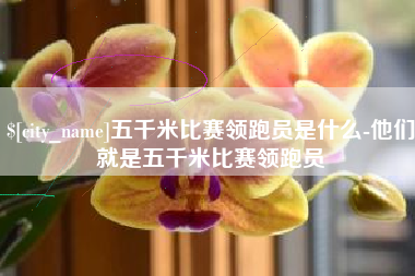 万宁五千米比赛领跑员是什么-他们就是五千米比赛领跑员