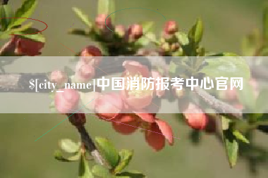 万宁中国消防报考中心官网