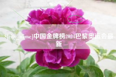 万宁中国金牌榜2024巴黎奥运会最新