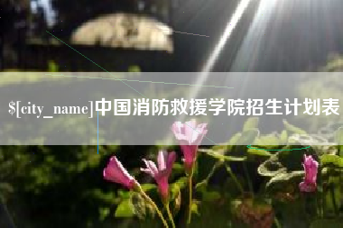 万宁中国消防救援学院招生计划表