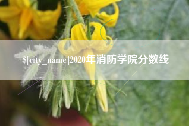 万宁2020年消防学院分数线