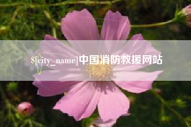 万宁中国消防救援网站