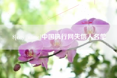 万宁中国执行网失信人名单