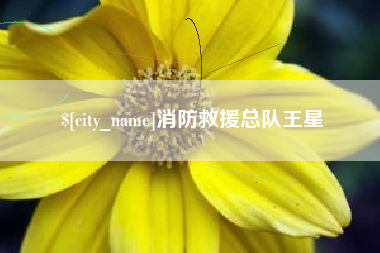 万宁消防救援总队王星
