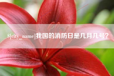 万宁我国的消防日是几月几号？