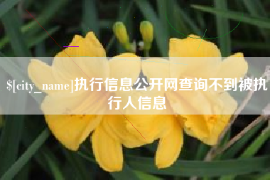 万宁执行信息公开网查询不到被执行人信息