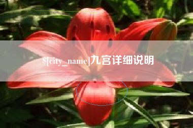 万宁九宫详细说明