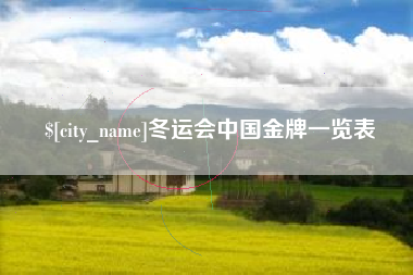 万宁冬运会中国金牌一览表