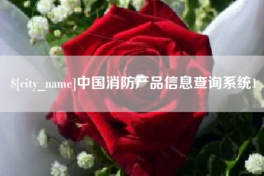 万宁中国消防产品信息查询系统1