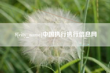 万宁中国执行执行信息网