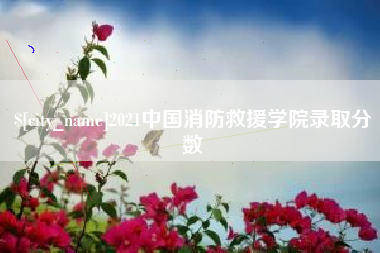 万宁2021中国消防救援学院录取分数