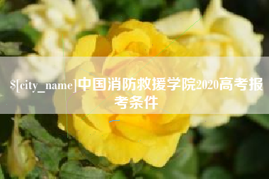 万宁中国消防救援学院2020高考报考条件