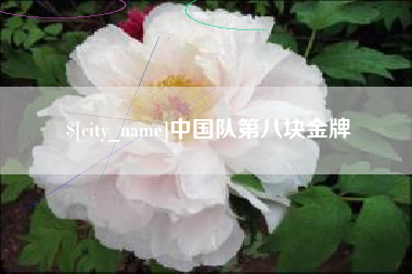 万宁中国队第八块金牌