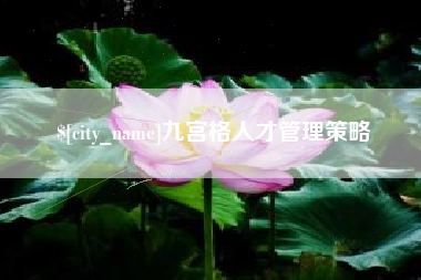 万宁九宫格人才管理策略