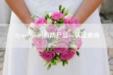 万宁消防产品ccc认证查询