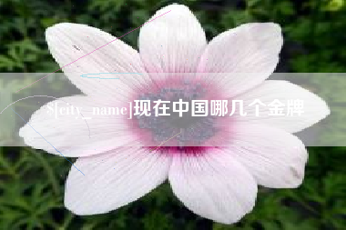 万宁现在中国哪几个金牌