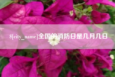 万宁全国的消防日是几月几日