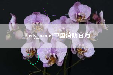 万宁中国消防官方