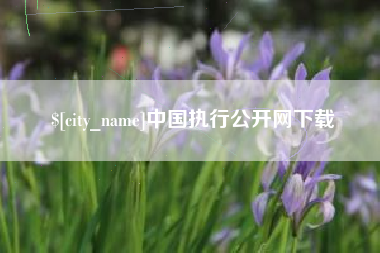 万宁中国执行公开网下载