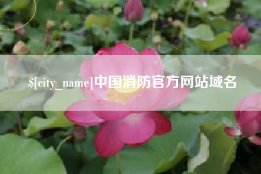 万宁中国消防官方网站域名