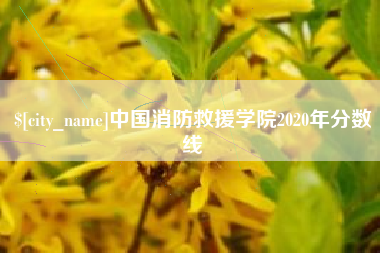 万宁中国消防救援学院2020年分数线