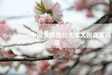 万宁中国金牌图片大全大图真实高清