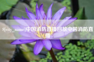 万宁中国消防直播回放中国消防直播