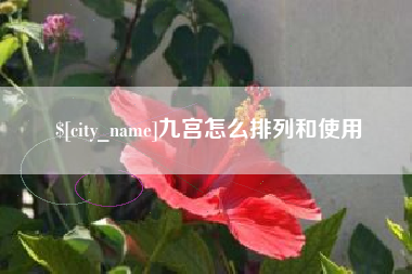 万宁九宫怎么排列和使用