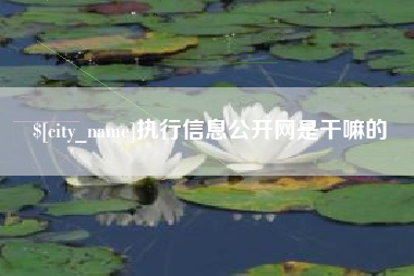 万宁执行信息公开网是干嘛的