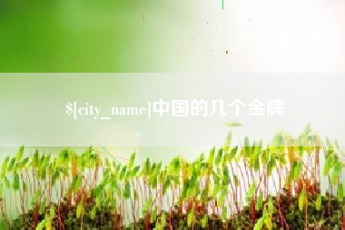 万宁中国的几个金牌