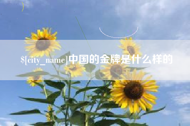 万宁中国的金牌是什么样的