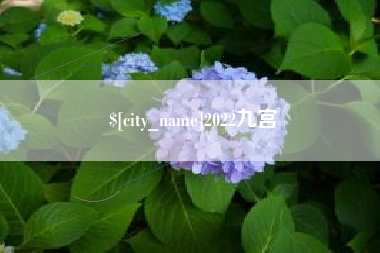 万宁2022九宫