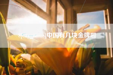 万宁中国有几块金牌啦