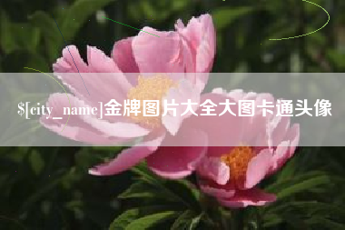 万宁金牌图片大全大图卡通头像