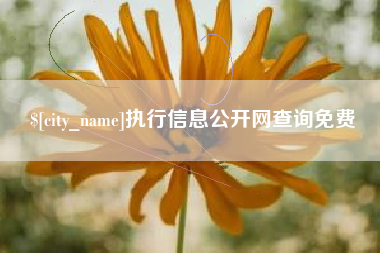 万宁执行信息公开网查询免费