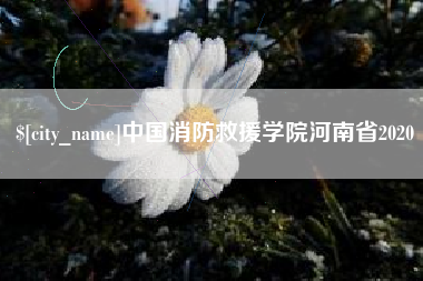 万宁中国消防救援学院河南省2020